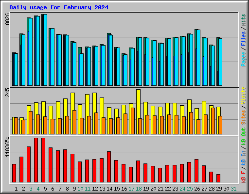 Daily usage for February 2024