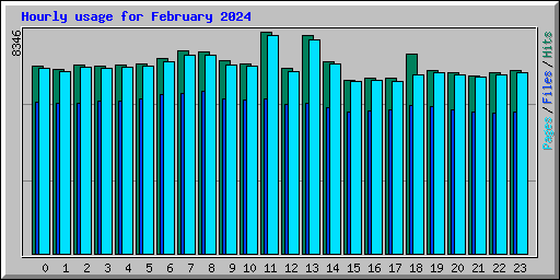 Hourly usage for February 2024